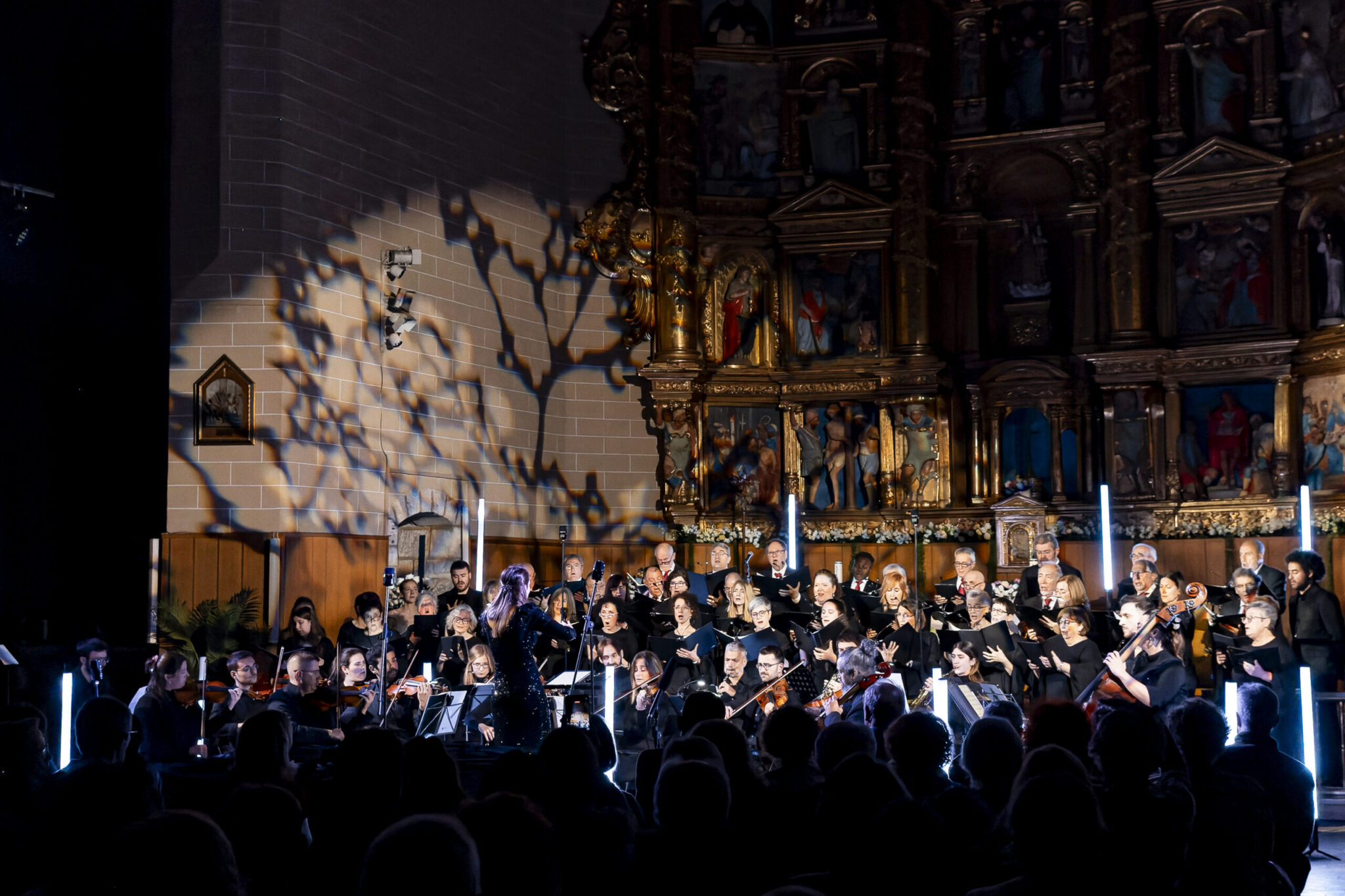 _6II8203-DxO_DeepPRIME copia